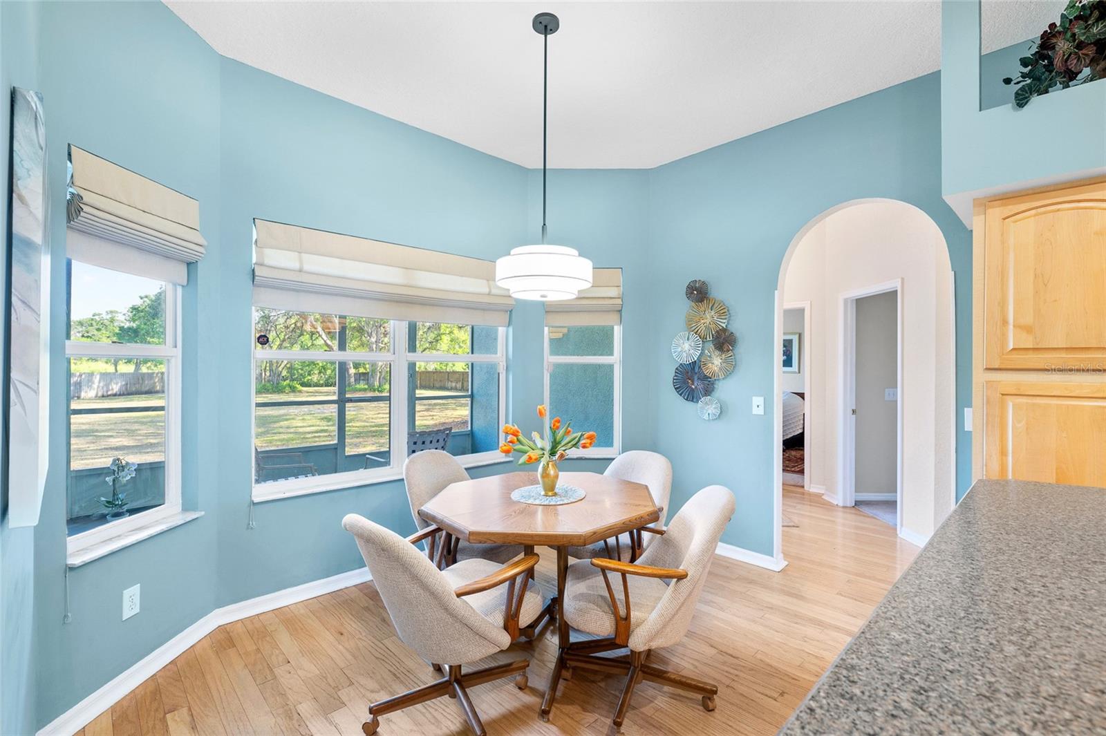 12103 SHADOW RUN BLVD, RIVERVIEW, FL, 33569