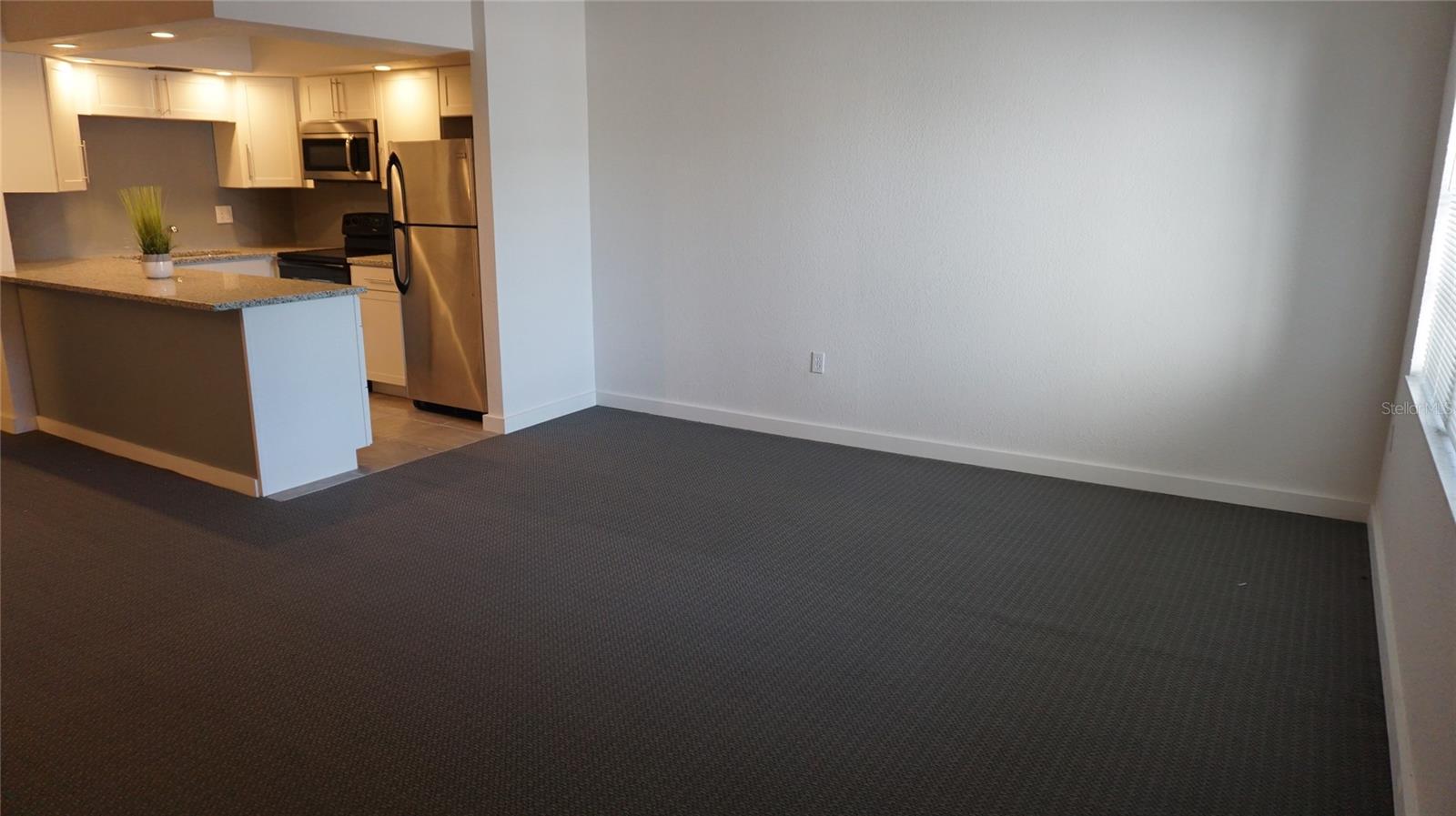 7321 CENTRAL AVE #102, ST PETERSBURG, FL, 33710