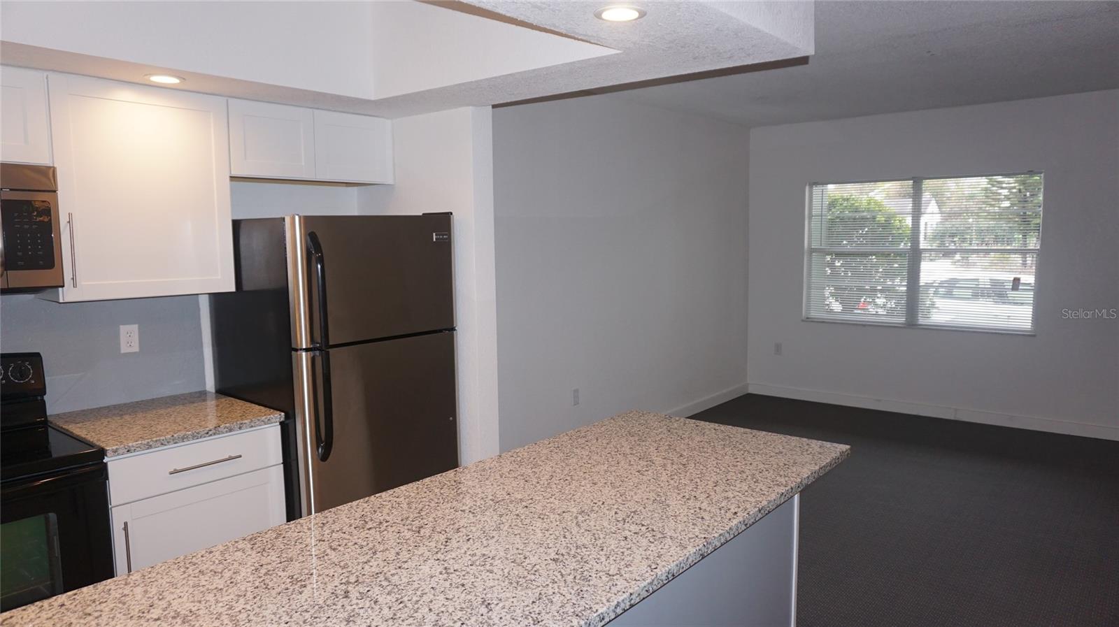 7321 CENTRAL AVE #102, ST PETERSBURG, FL, 33710