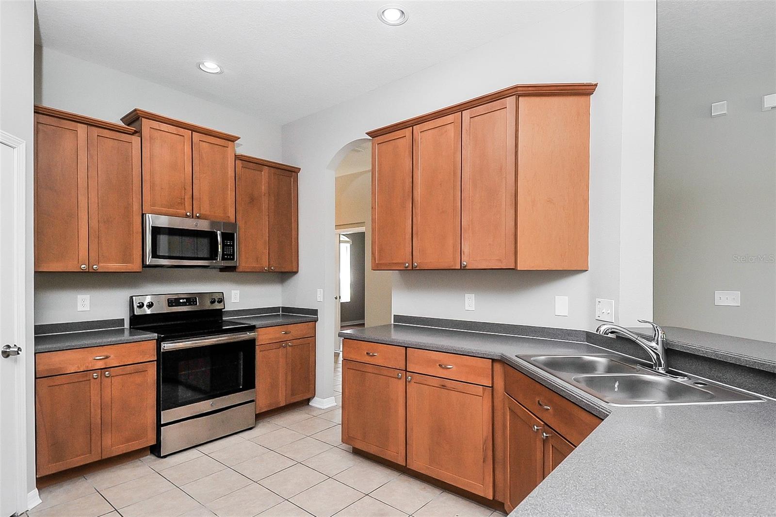 16318 BRIDGELAWN AVE, LITHIA, FL, 33547