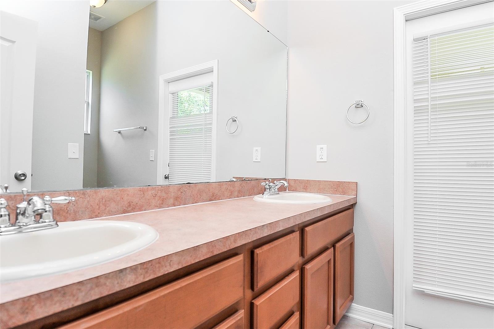 16318 BRIDGELAWN AVE, LITHIA, FL, 33547
