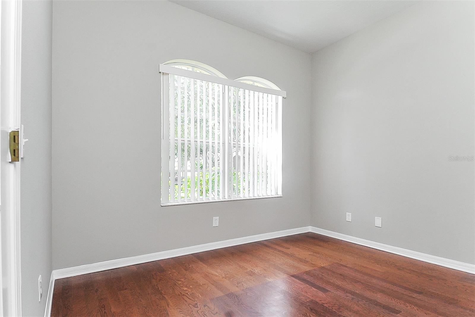 16318 BRIDGELAWN AVE, LITHIA, FL, 33547