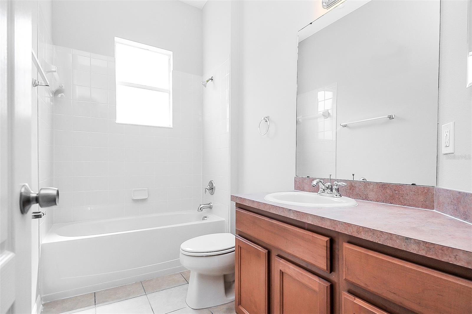 16318 BRIDGELAWN AVE, LITHIA, FL, 33547