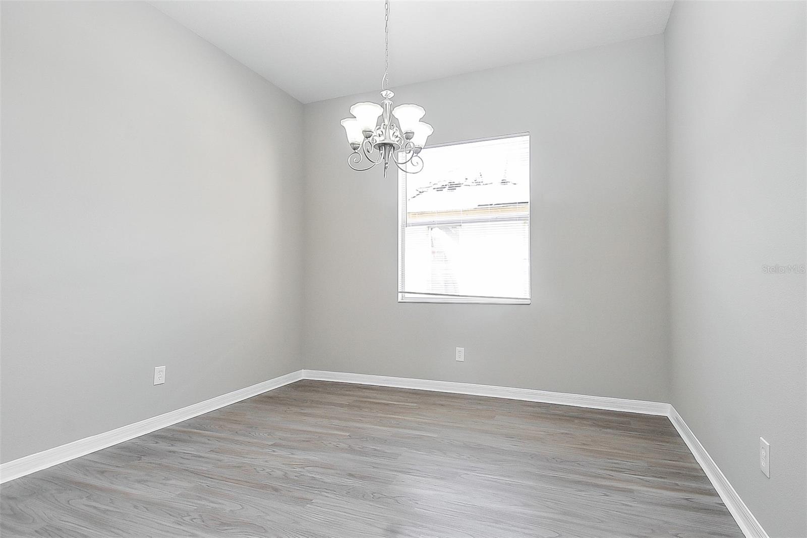 16318 BRIDGELAWN AVE, LITHIA, FL, 33547