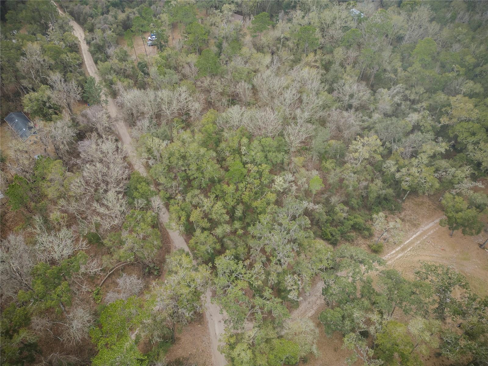 1721 SE 50TH ST, GAINESVILLE, FL, 32641