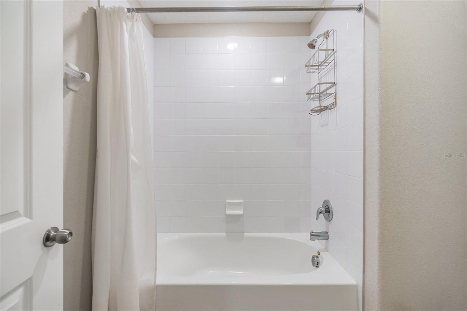 10207 COOL WATERLILY AVE, RIVERVIEW, FL, 33578