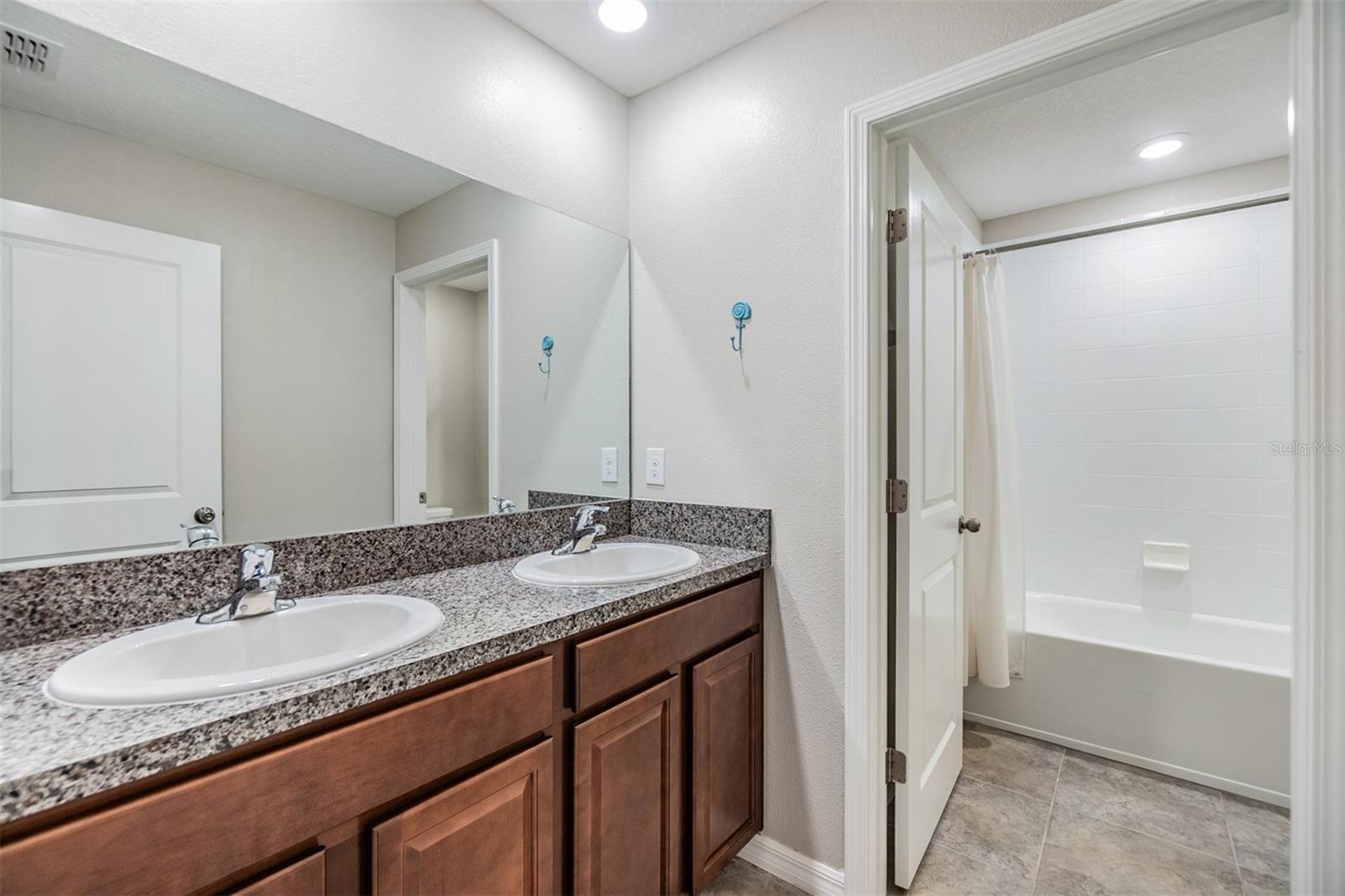 10207 COOL WATERLILY AVE, RIVERVIEW, FL, 33578