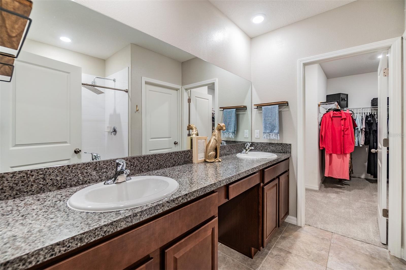 10207 COOL WATERLILY AVE, RIVERVIEW, FL, 33578