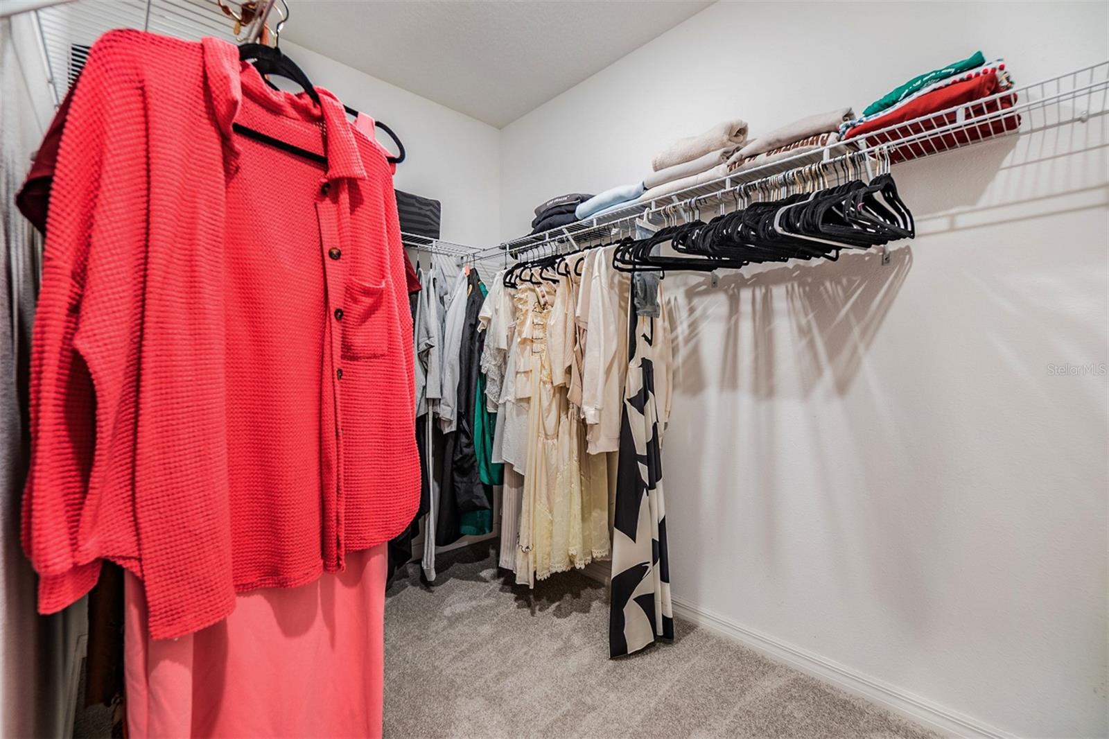 10207 COOL WATERLILY AVE, RIVERVIEW, FL, 33578