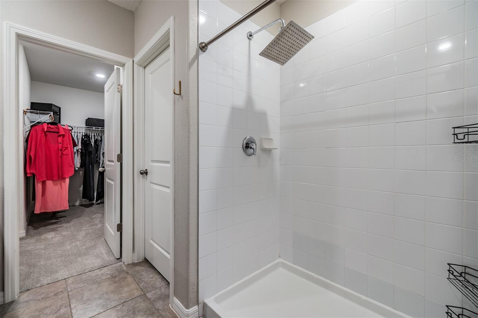 10207 COOL WATERLILY AVE, RIVERVIEW, FL, 33578