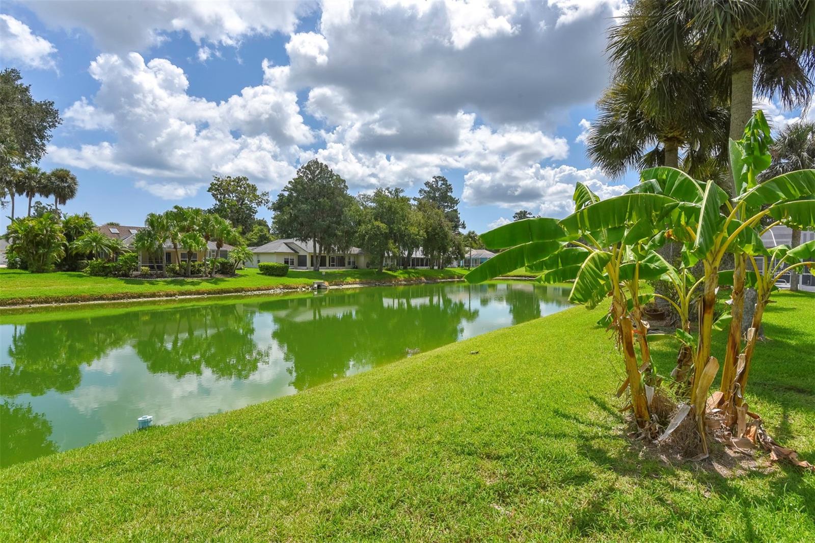 115 OLD SUNBEAM DR, SOUTH DAYTONA, FL, 32119