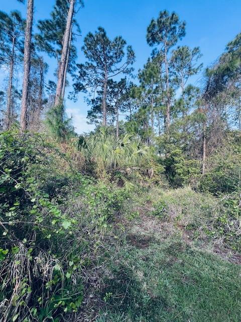 91 EMERALD LAKE DR, PALM COAST, FL, 32137