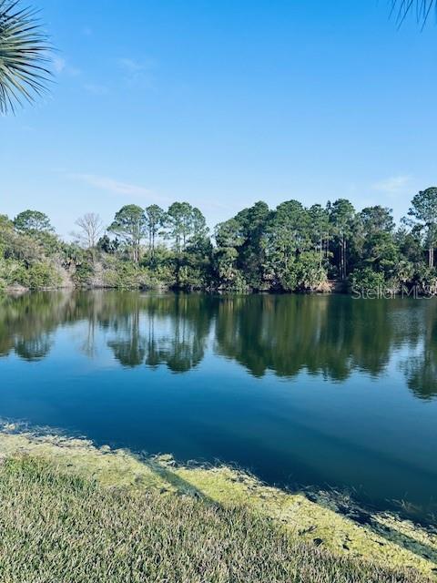 91 EMERALD LAKE DR, PALM COAST, FL, 32137