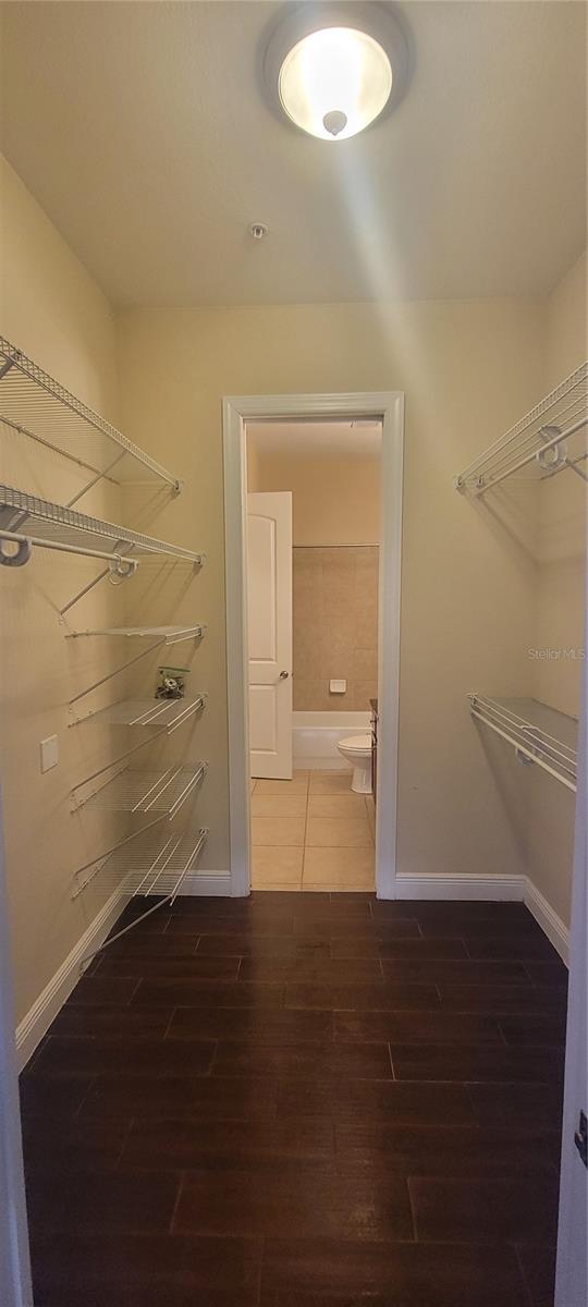 230 SW 2ND AVE #301, GAINESVILLE, FL, 32601