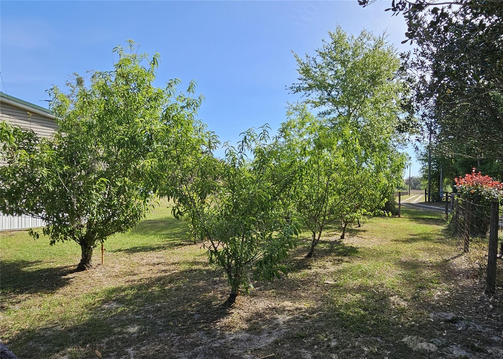 1642 HOLY COW RD, POLK CITY, FL, 33868