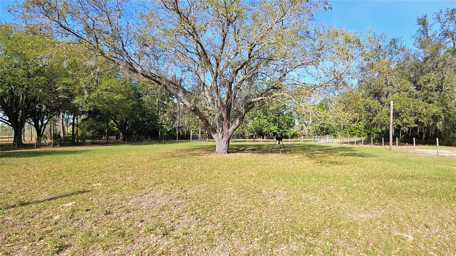 1642 HOLY COW RD, POLK CITY, FL, 33868