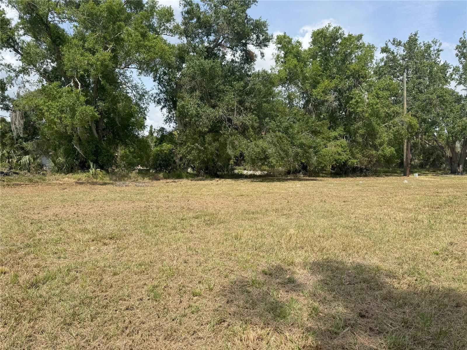 185 W VIRGINIA ST, ARCADIA, FL, 34266