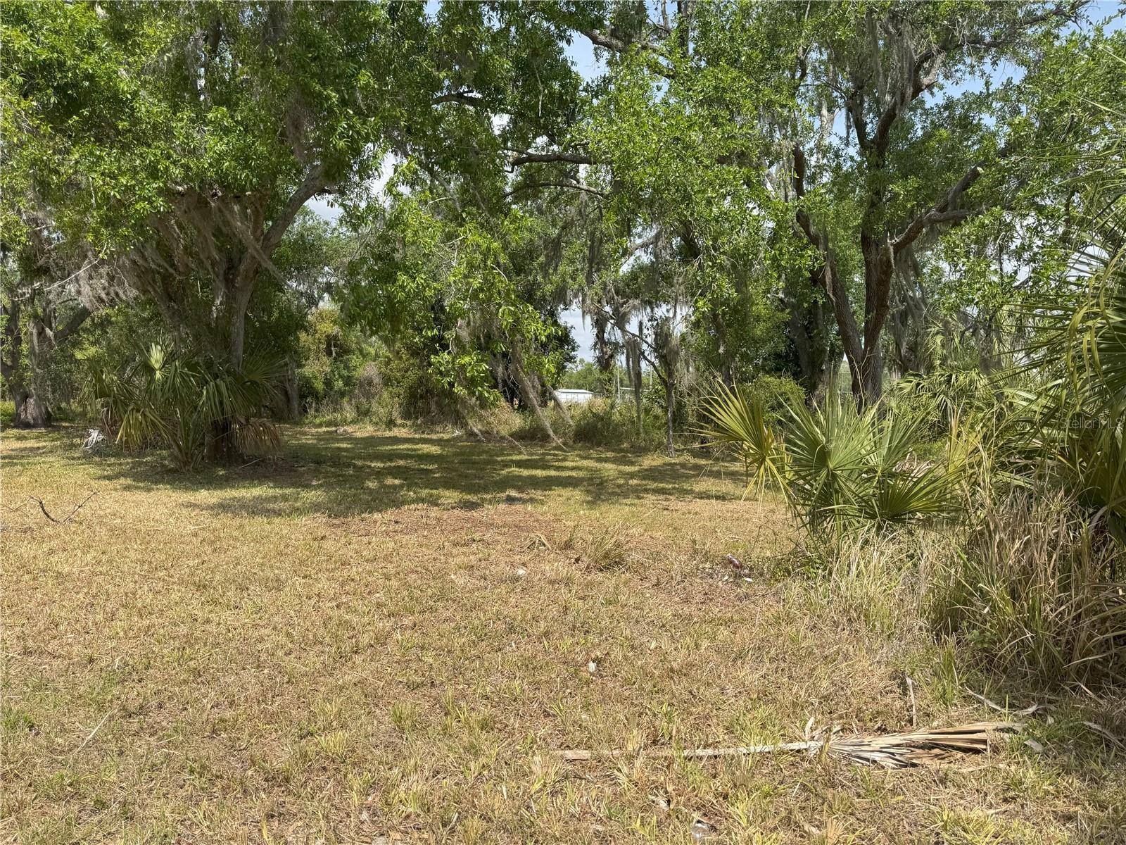 185 W VIRGINIA ST, ARCADIA, FL, 34266