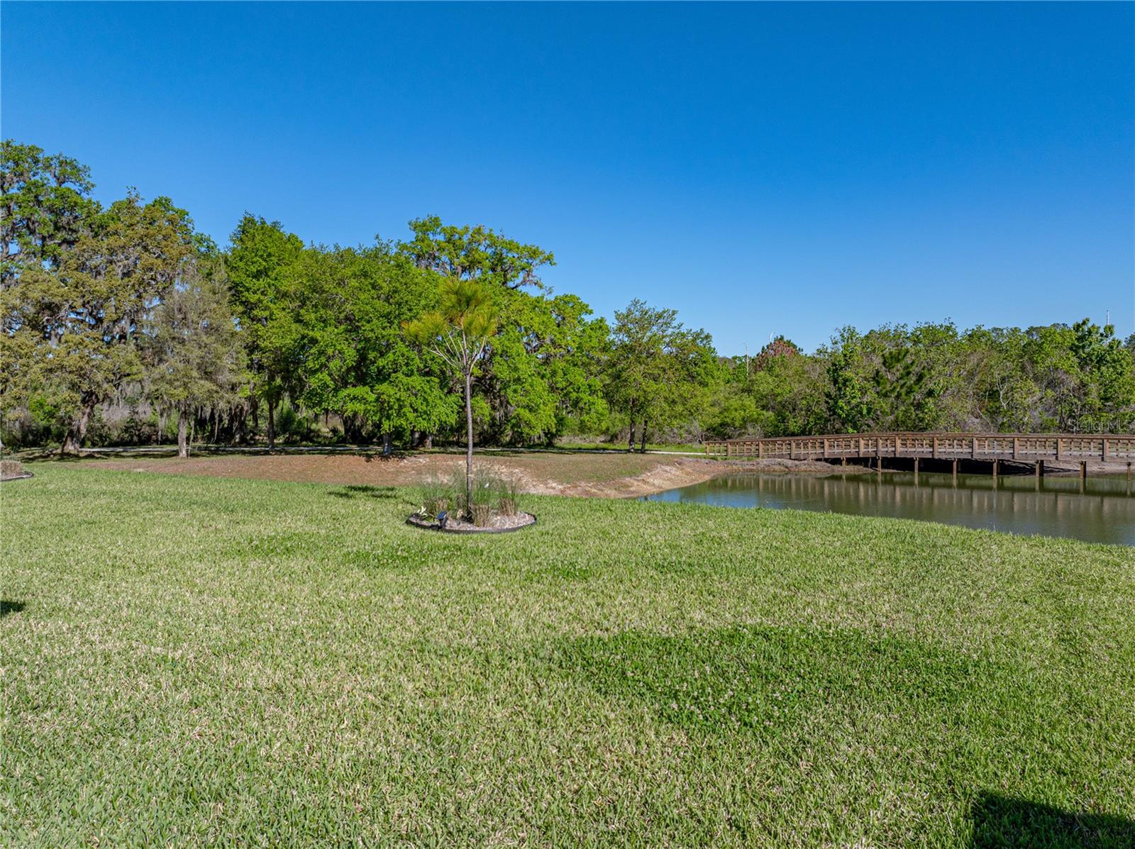 11465 JUNE BRIAR LOOP, SAN ANTONIO, FL, 33576