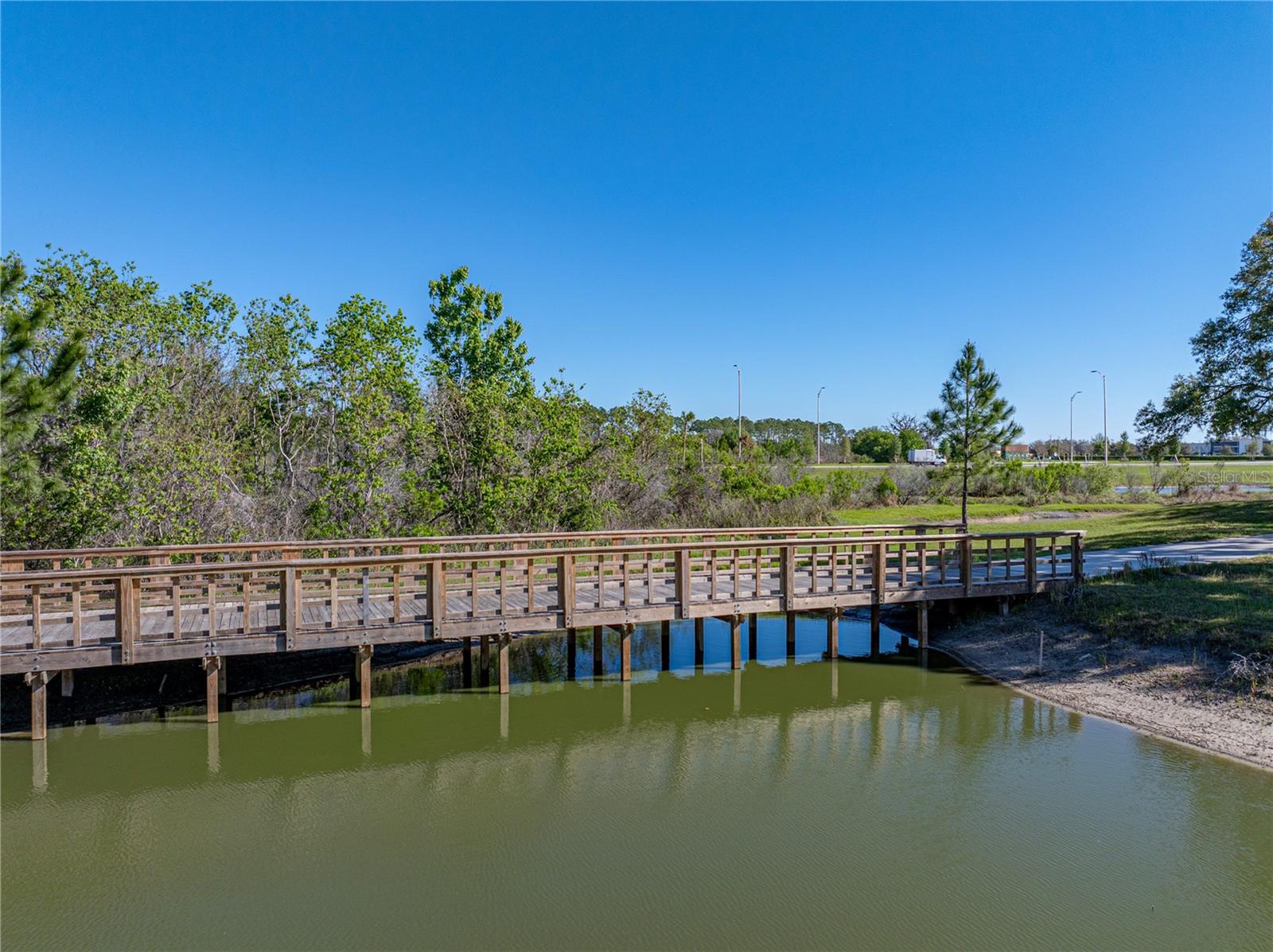 11465 JUNE BRIAR LOOP, SAN ANTONIO, FL, 33576