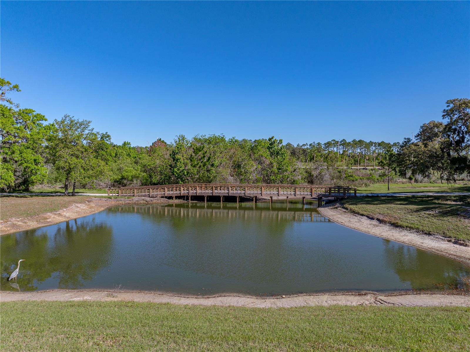 11465 JUNE BRIAR LOOP, SAN ANTONIO, FL, 33576