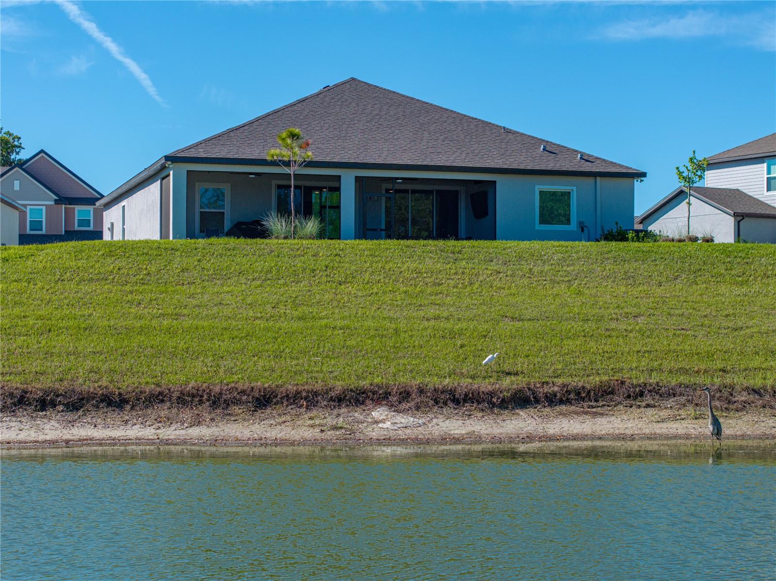 11465 JUNE BRIAR LOOP, SAN ANTONIO, FL, 33576