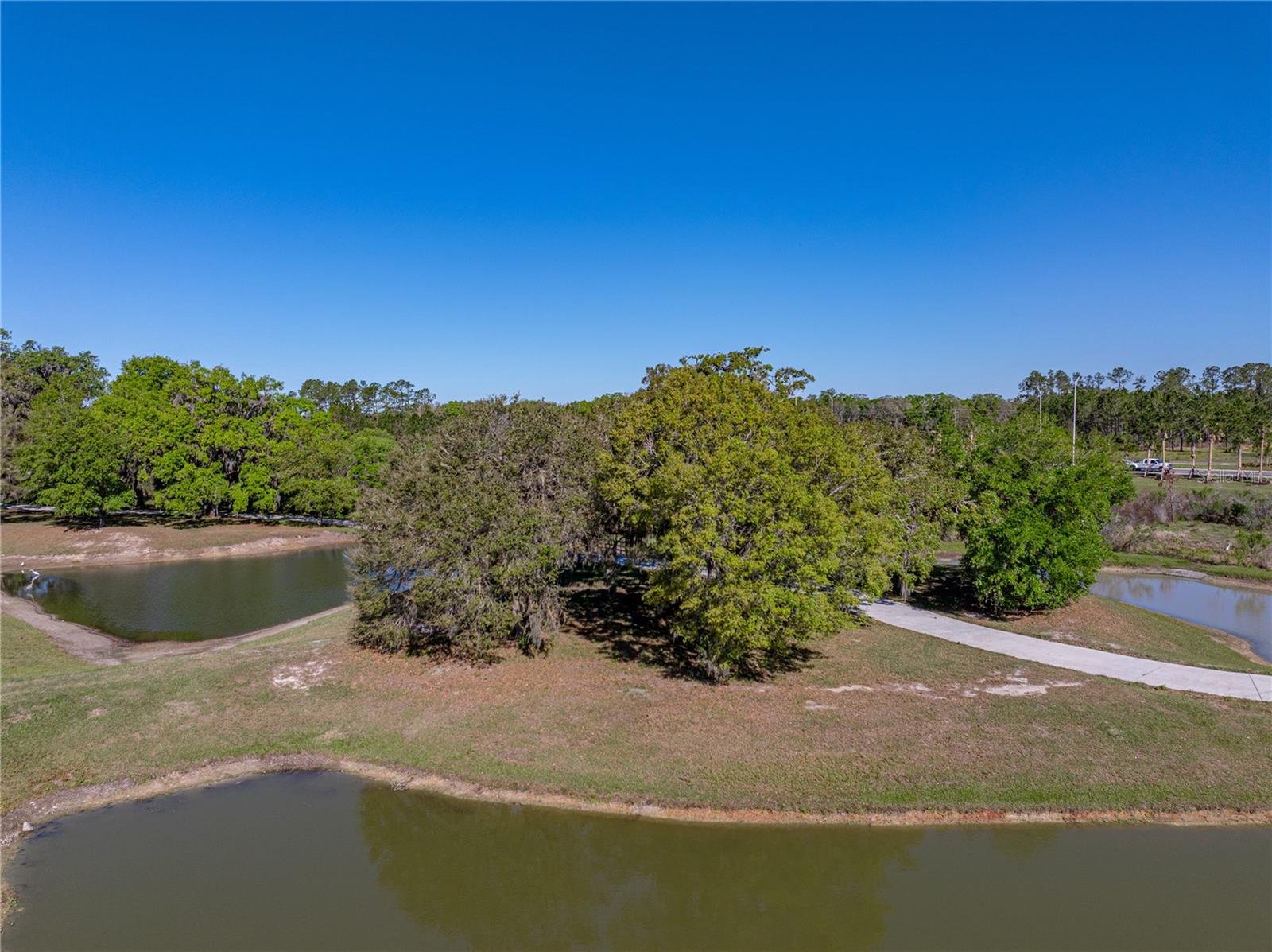 11465 JUNE BRIAR LOOP, SAN ANTONIO, FL, 33576