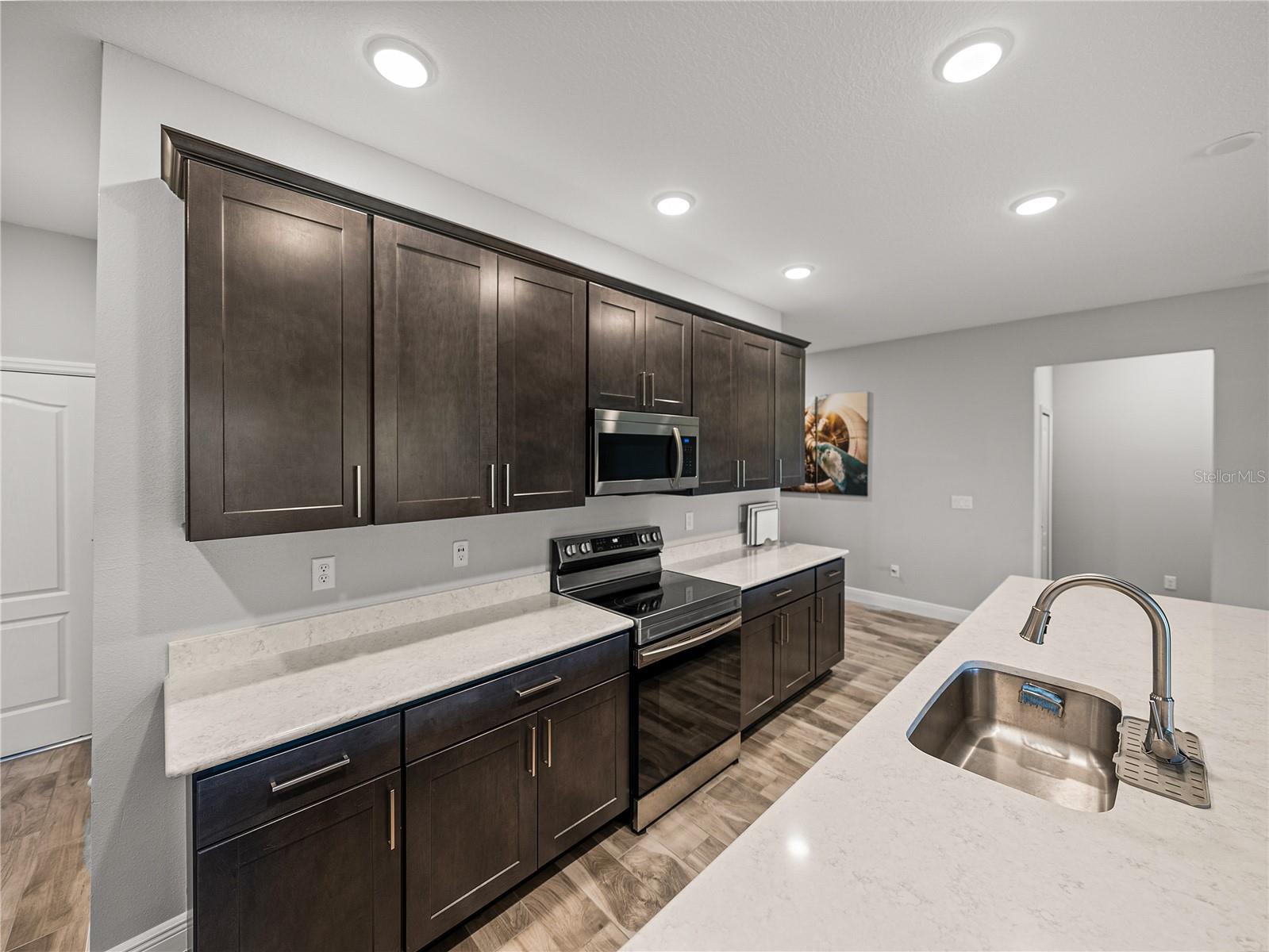 11465 JUNE BRIAR LOOP, SAN ANTONIO, FL, 33576
