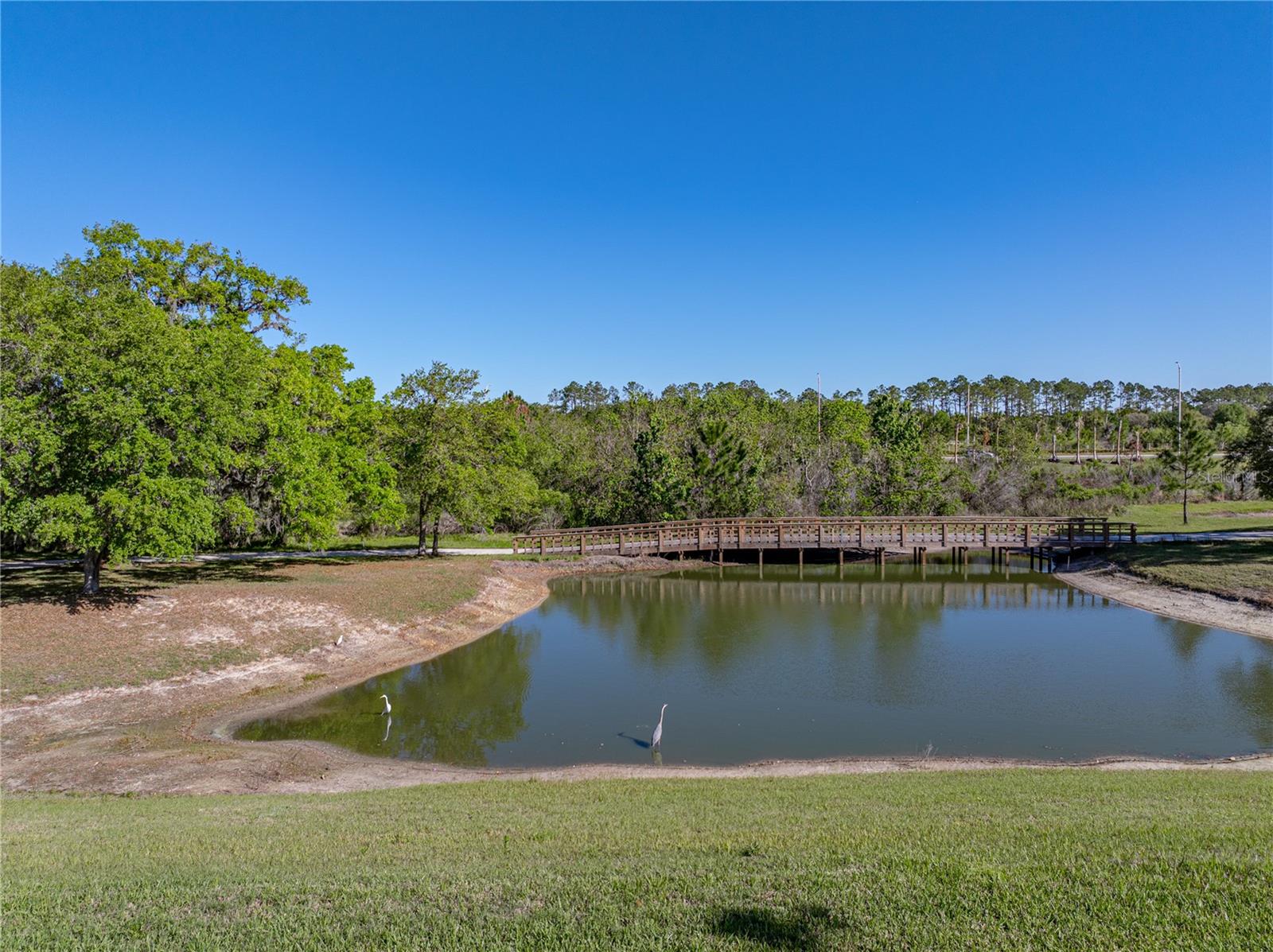 11465 JUNE BRIAR LOOP, SAN ANTONIO, FL, 33576