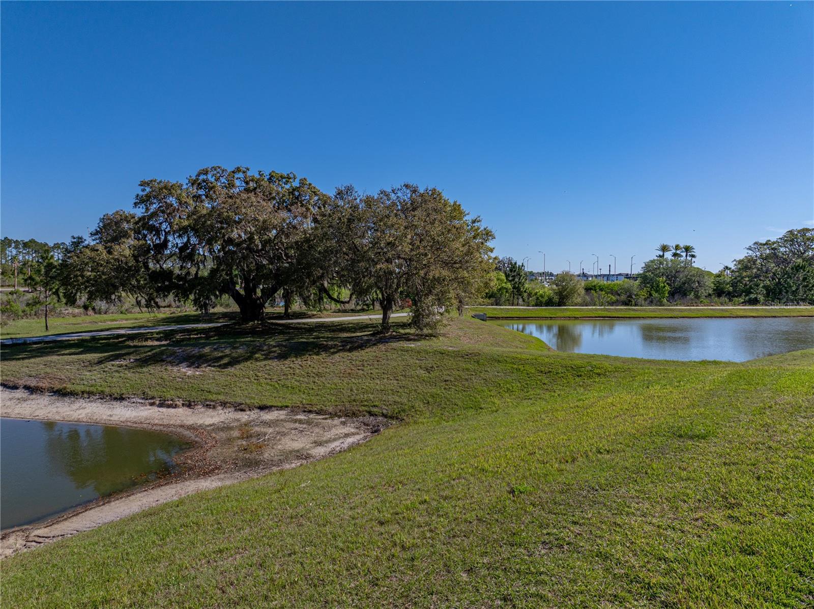 11465 JUNE BRIAR LOOP, SAN ANTONIO, FL, 33576