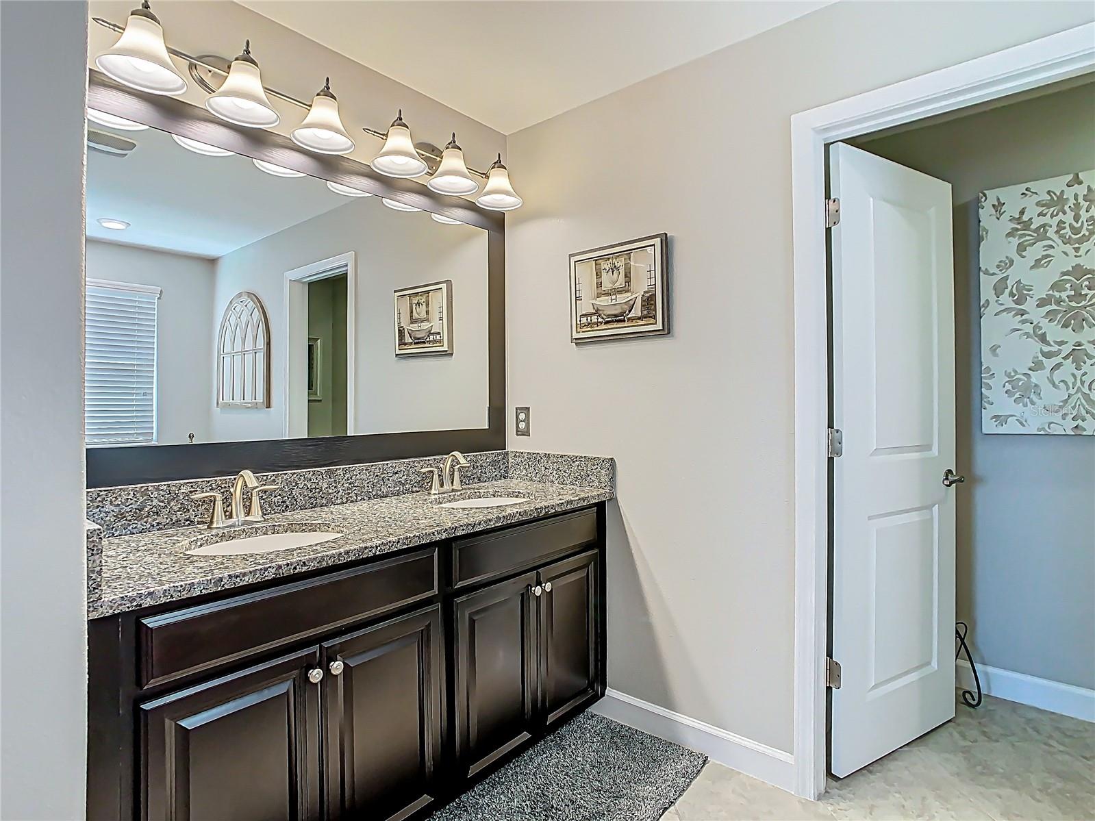 28642 TRANQUIL LAKE CIR, WESLEY CHAPEL, FL, 33543