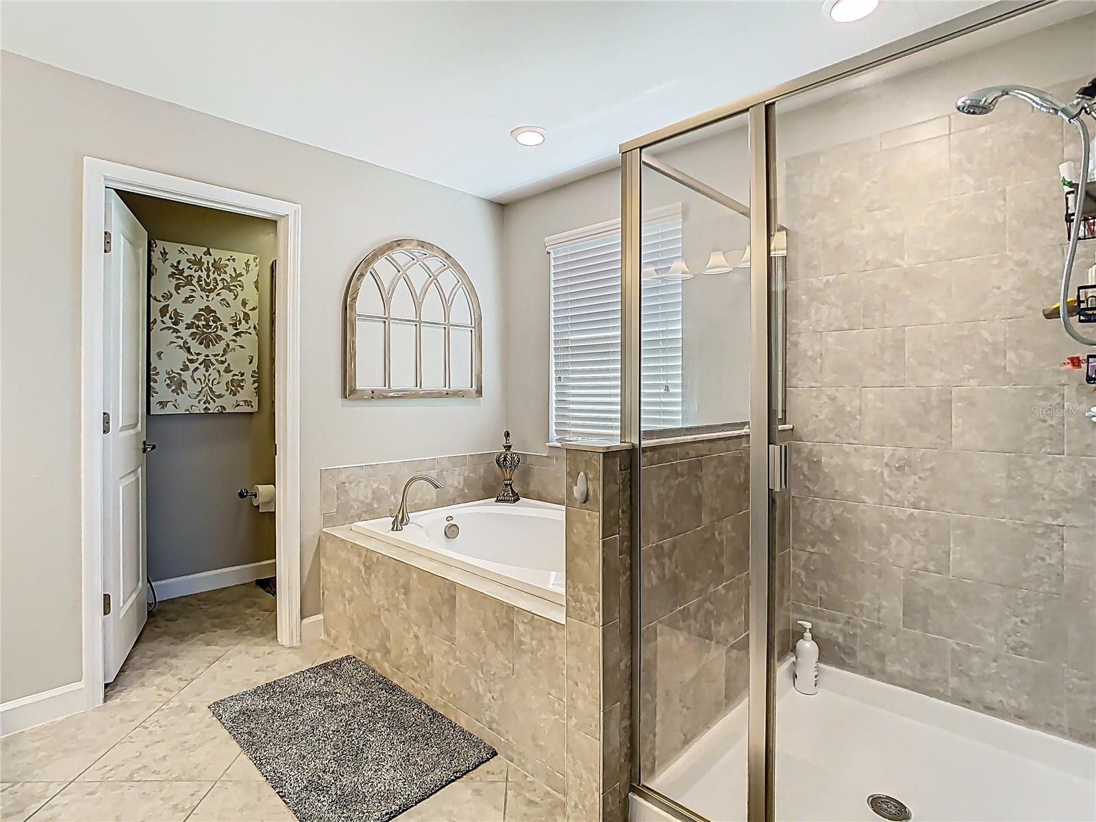 28642 TRANQUIL LAKE CIR, WESLEY CHAPEL, FL, 33543