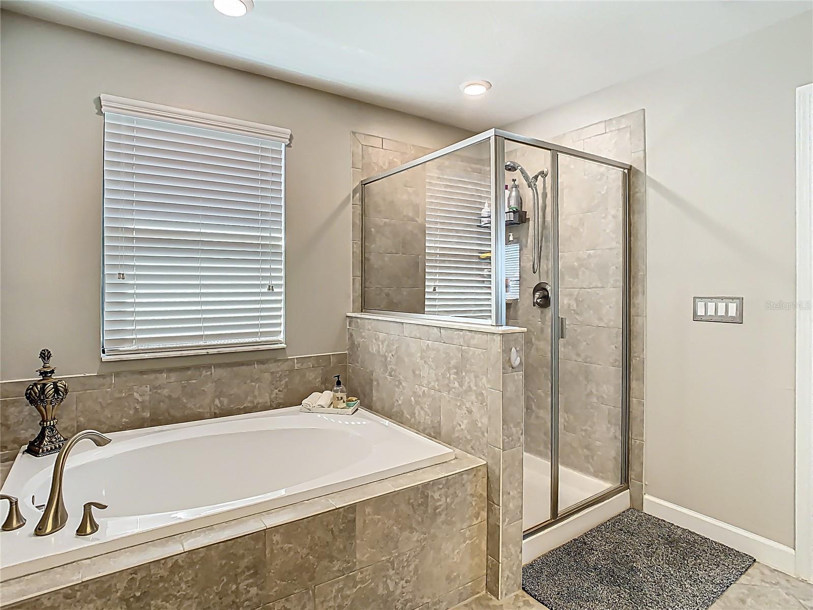 28642 TRANQUIL LAKE CIR, WESLEY CHAPEL, FL, 33543