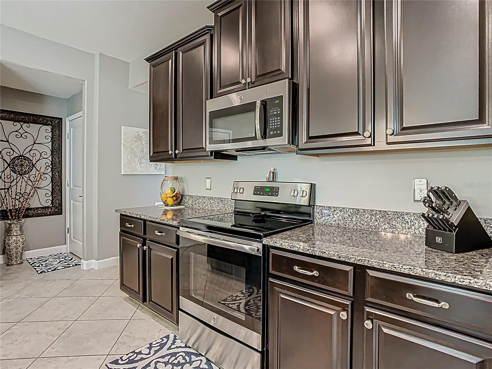 28642 TRANQUIL LAKE CIR, WESLEY CHAPEL, FL, 33543