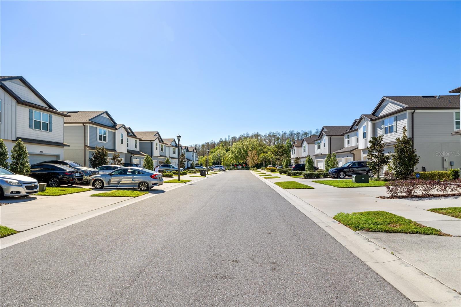 2895 DEER PINE TRL, LAND O LAKES, FL, 34638