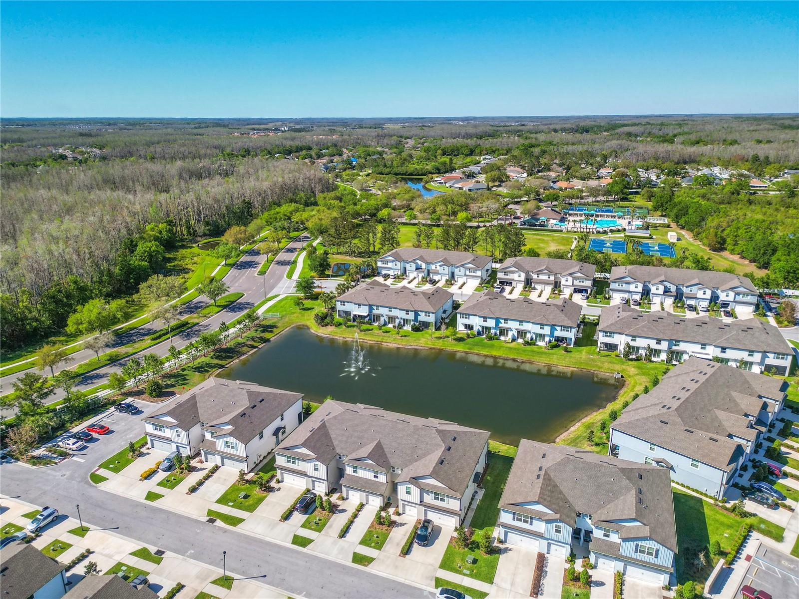 2895 DEER PINE TRL, LAND O LAKES, FL, 34638