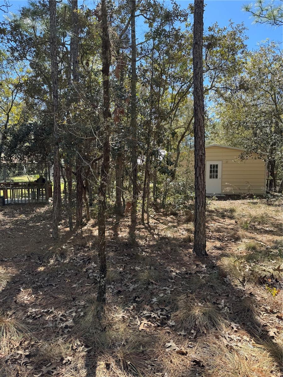 5543 W NOBIS CIR, HOMOSASSA, FL, 34448