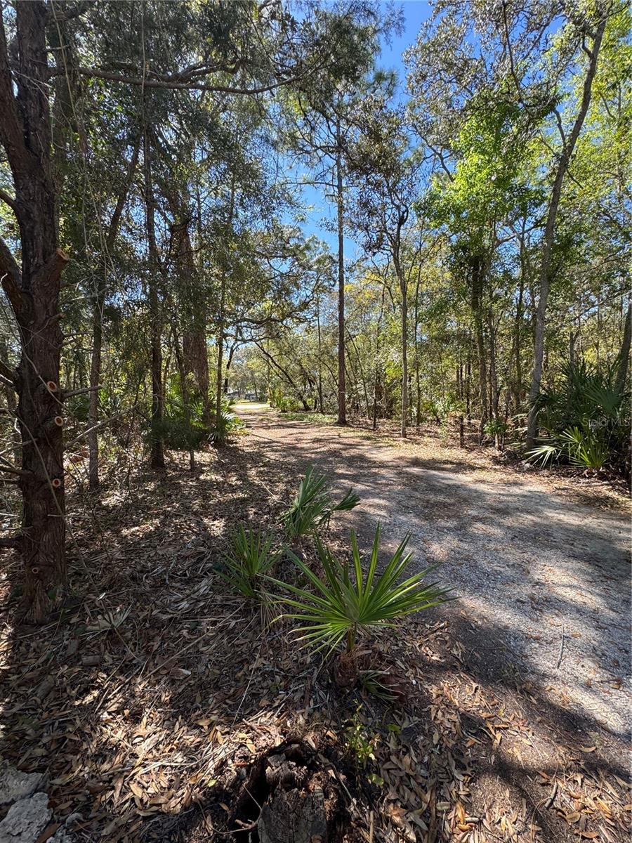 5543 W NOBIS CIR, HOMOSASSA, FL, 34448