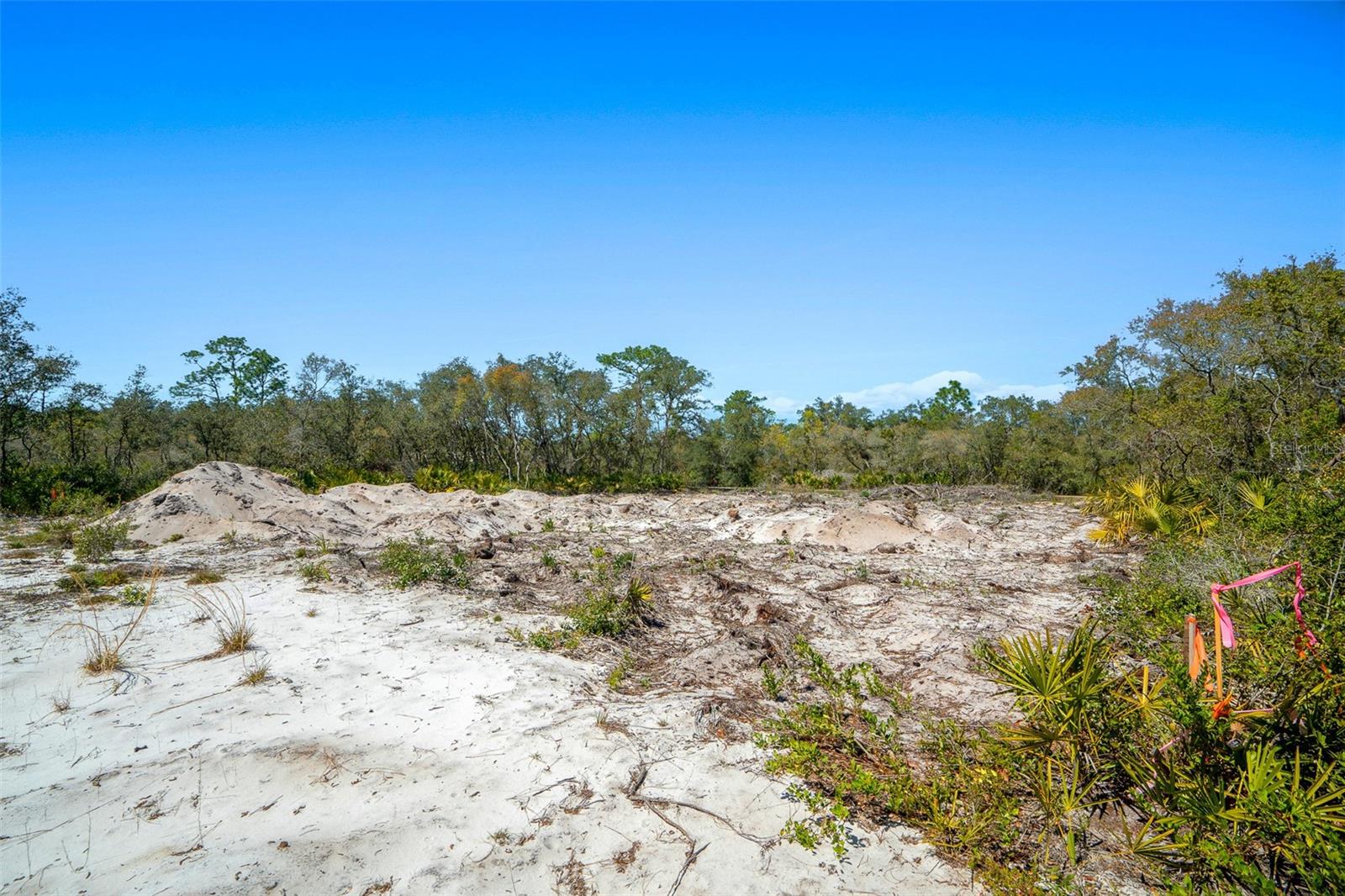 SILVER SPGS SHORES 35, OCKLAWAHA, FL, 32179