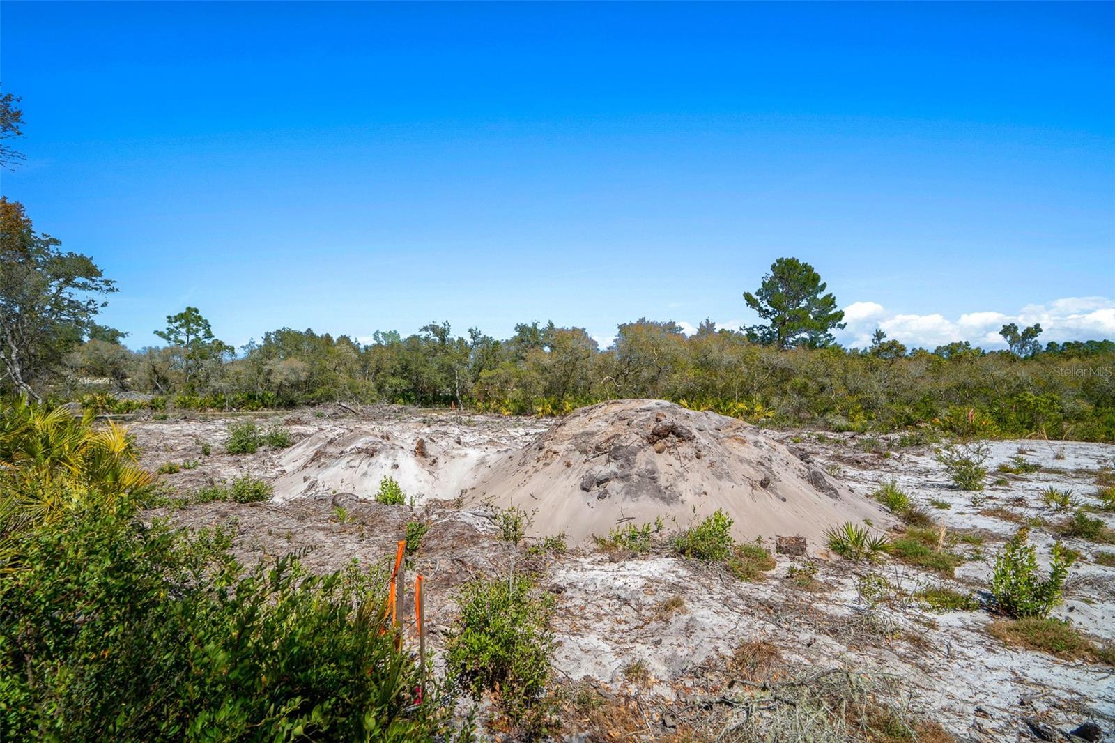 SILVER SPGS SHORES 35, OCKLAWAHA, FL, 32179