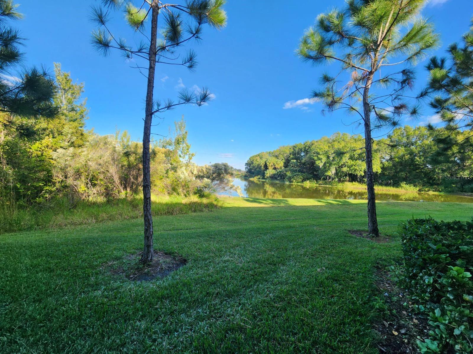 28546 TRANQUIL LAKE CIR, WESLEY CHAPEL, FL, 33543