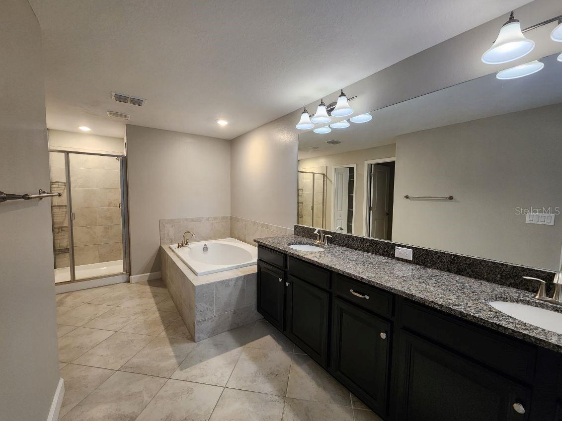 28546 TRANQUIL LAKE CIR, WESLEY CHAPEL, FL, 33543
