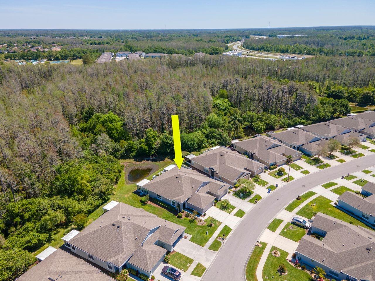 2930 TANGLEWYLDE DR, LAND O LAKES, FL, 34638