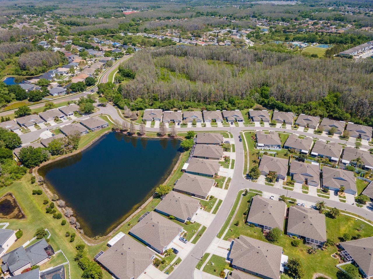 2930 TANGLEWYLDE DR, LAND O LAKES, FL, 34638