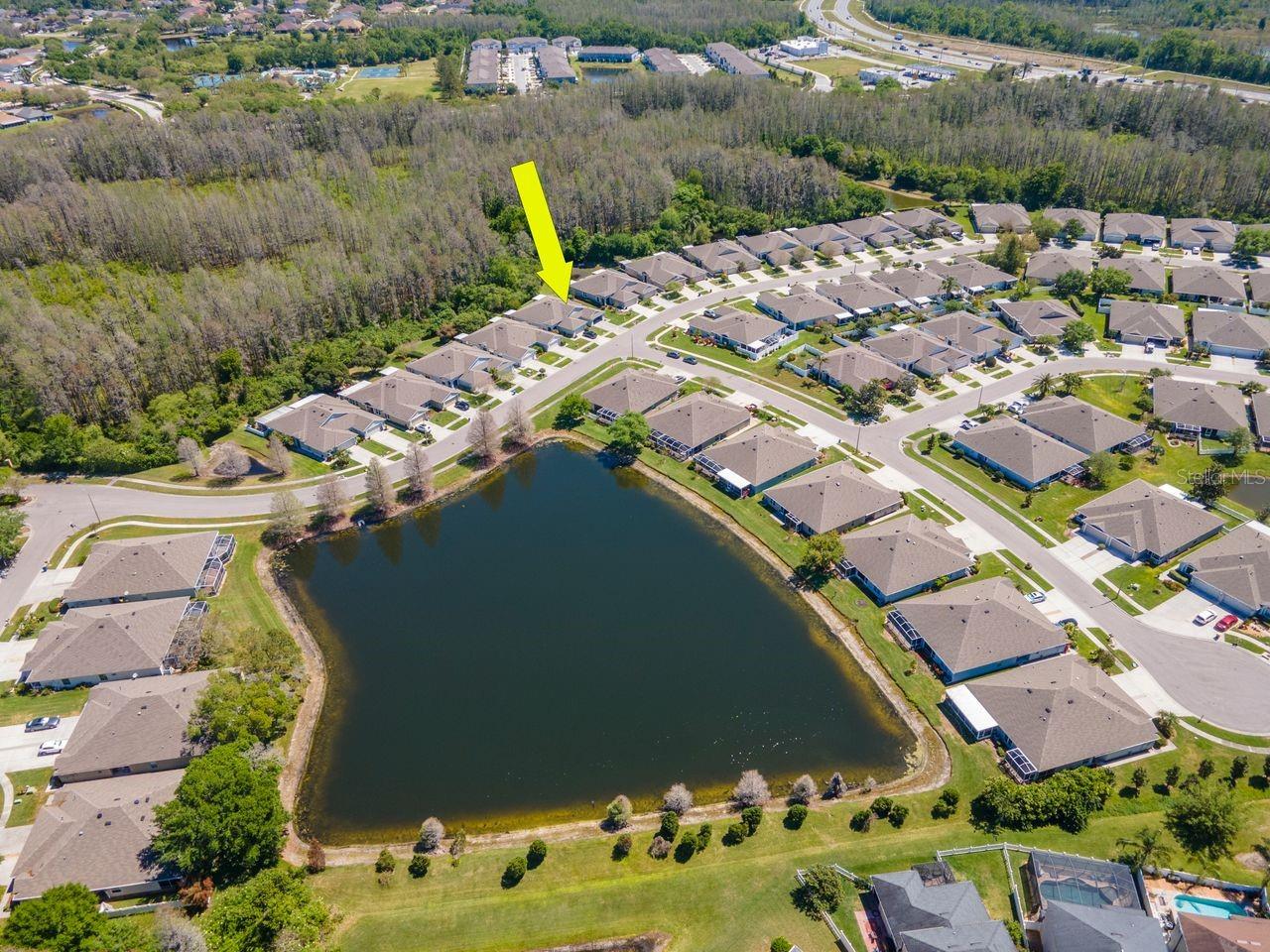 2930 TANGLEWYLDE DR, LAND O LAKES, FL, 34638
