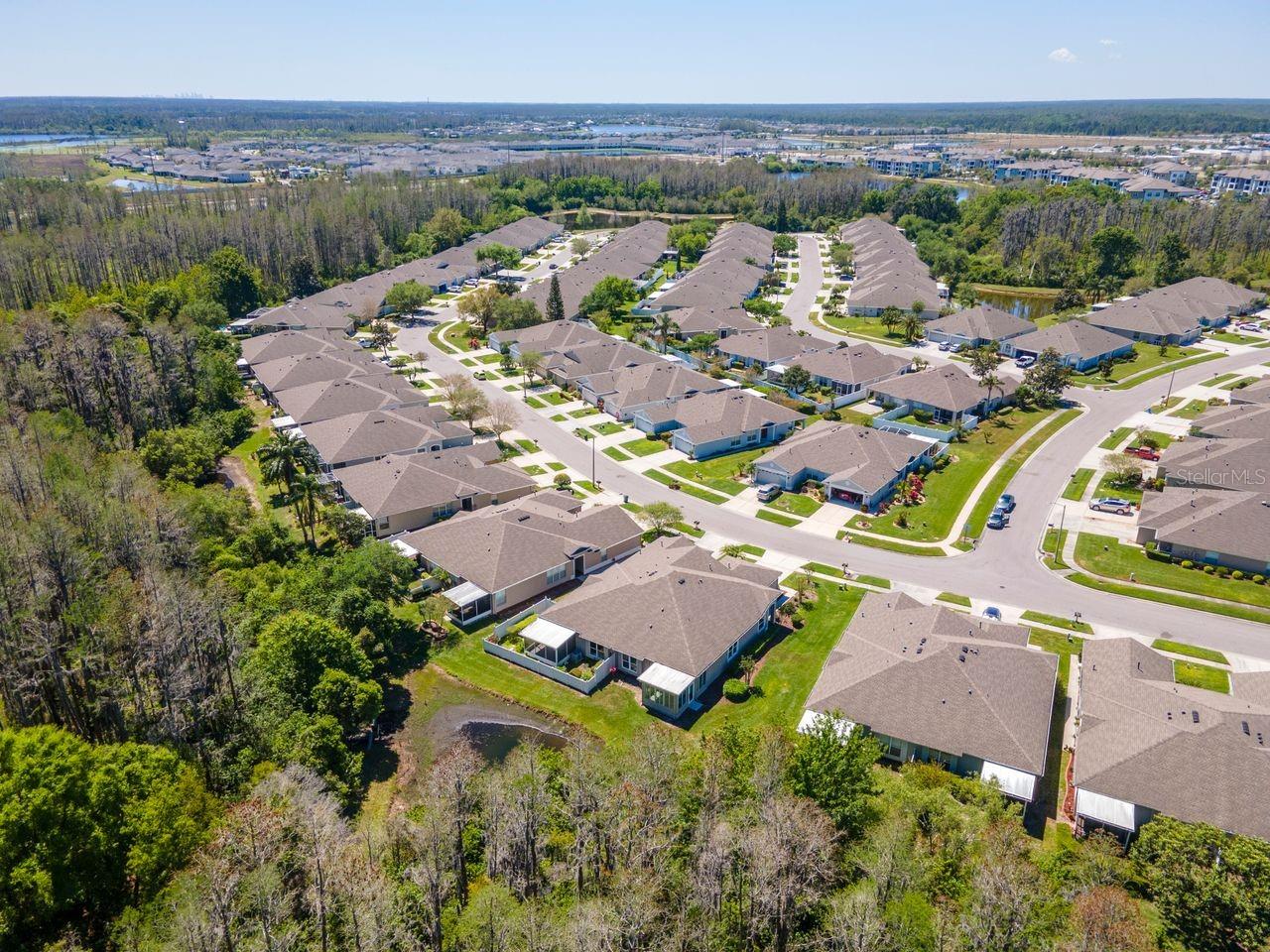 2930 TANGLEWYLDE DR, LAND O LAKES, FL, 34638