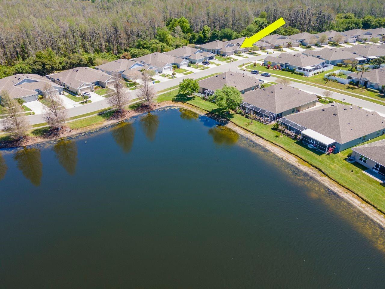 2930 TANGLEWYLDE DR, LAND O LAKES, FL, 34638