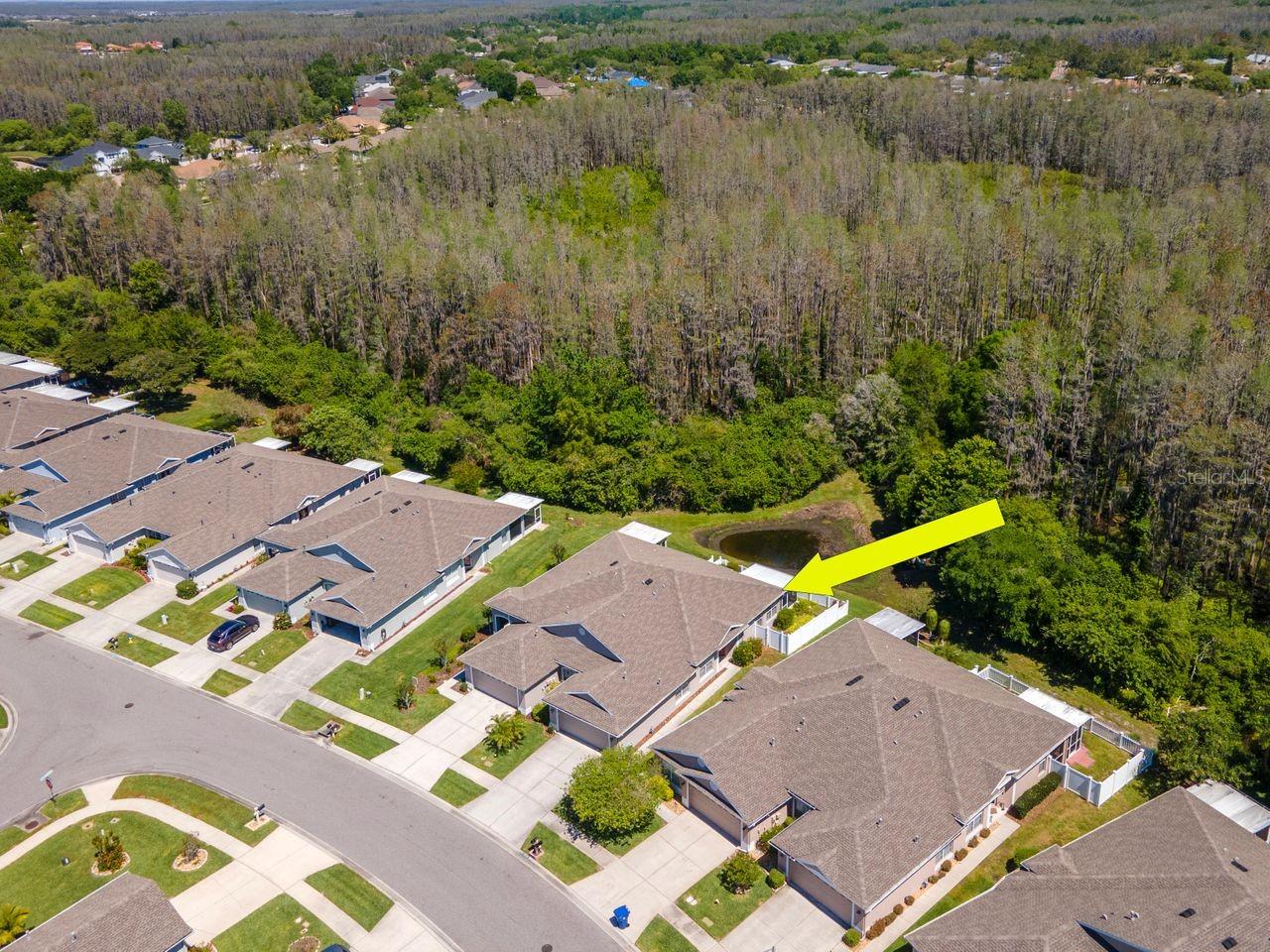 2930 TANGLEWYLDE DR, LAND O LAKES, FL, 34638