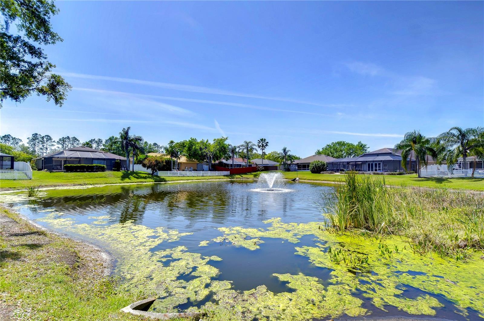 1828 AUDUBON TRAIL, LUTZ, FL, 33549