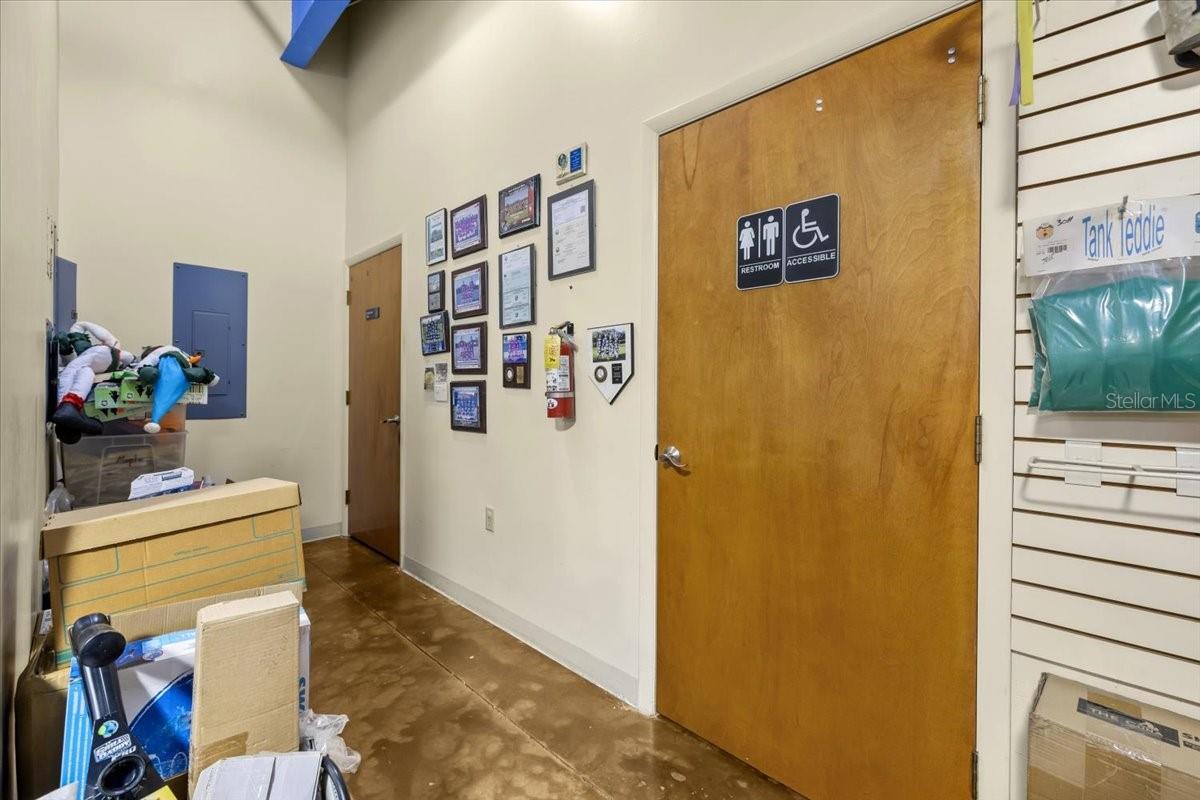 3684 TAMPA RD #1, OLDSMAR, FL, 34677